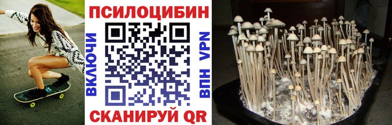 Псилоцибиновые грибы Psilocybe  продажа наркотиков  Болгар 